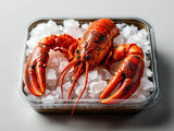 Giant Deep-Sea Lobster Claw Pack fresh product image without printed package numbers