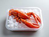 Maine Lobster - 680g Live Pack fresh product image without printed package numbers