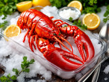 Maine Lobster - 680g Live Pack fresh product image without printed package numbers